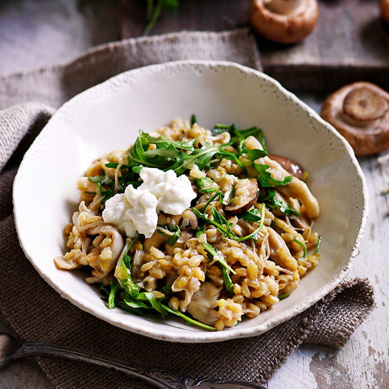 Barley risotto with mixed mushrooms and thyme