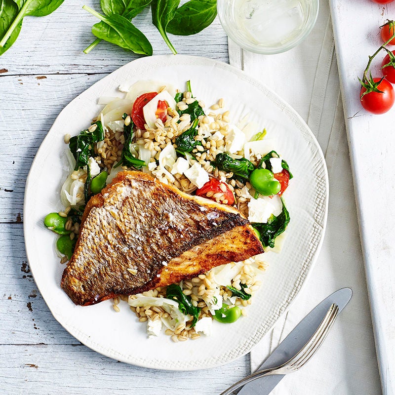 Snapper with warm barley, fennel and broad bean salad | Healthy Recipe ...